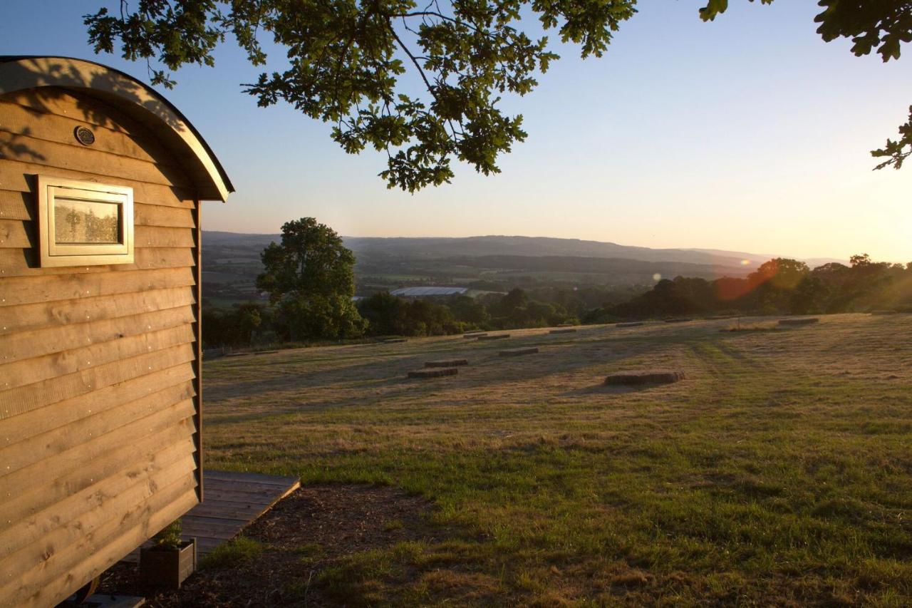 Tilbury Shepherd Huts With Hot Tubs Plus Holiday Cottages West Bagborough Exteriör bild